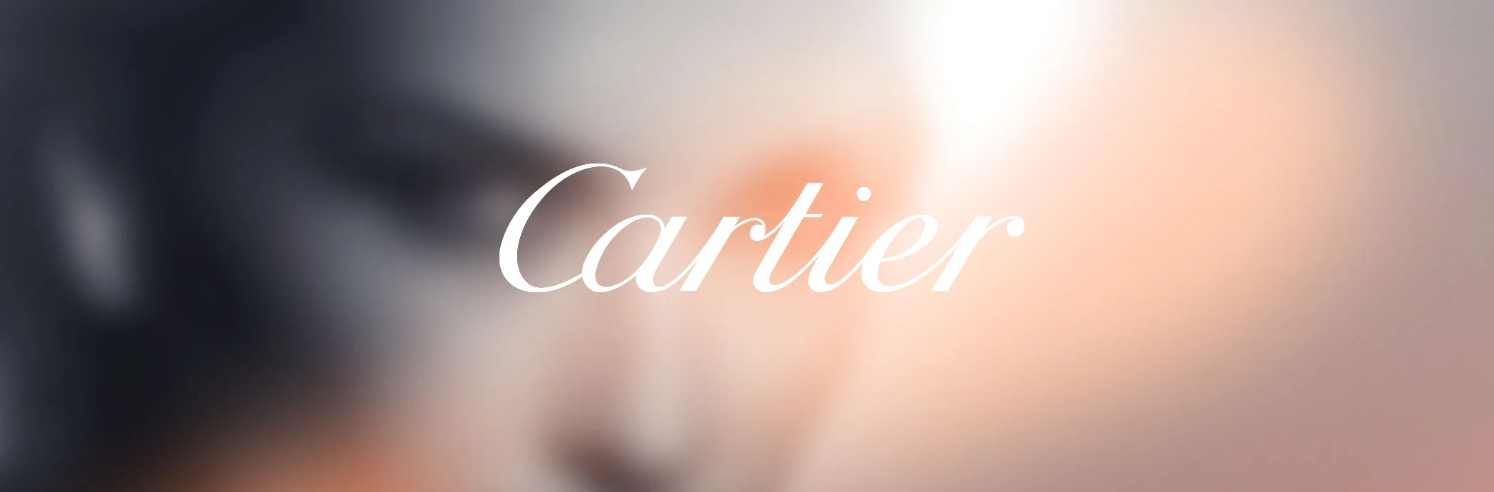 CARTIER L’Envol Panthère