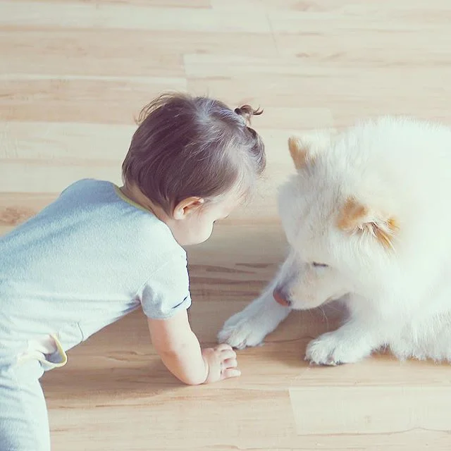 I choose to believe that my thoughts create my world, therefore I accept that this world of mine is a miraculous, loving place and that underneath the fog of fearful limiting beliefs and actions, we are all the same, manifesting in different shapes &