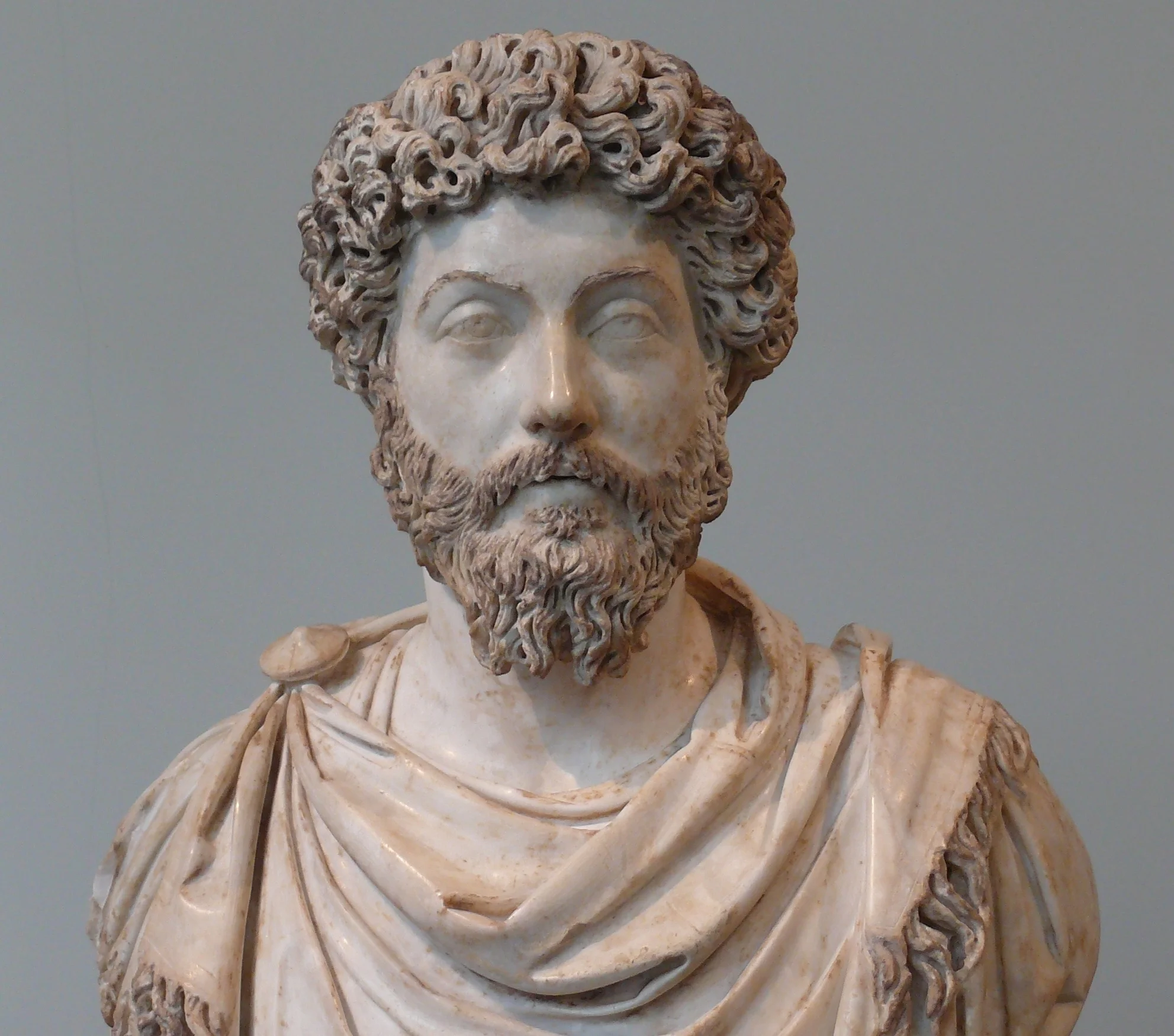 On Donna Zuckerberg’s book on classics and the far-right internet It becomes obvious by the end of Not All Dead White Men that, along with a desire for ideological validation, red pill forum members repeatedly deploy just a few choice rhetorical strategies. Read the rest at Ploughshares .