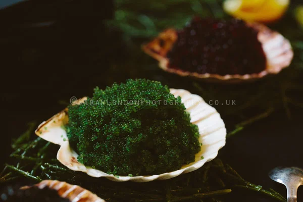 SarahLondonPhotogBalcomeBT022.jpg