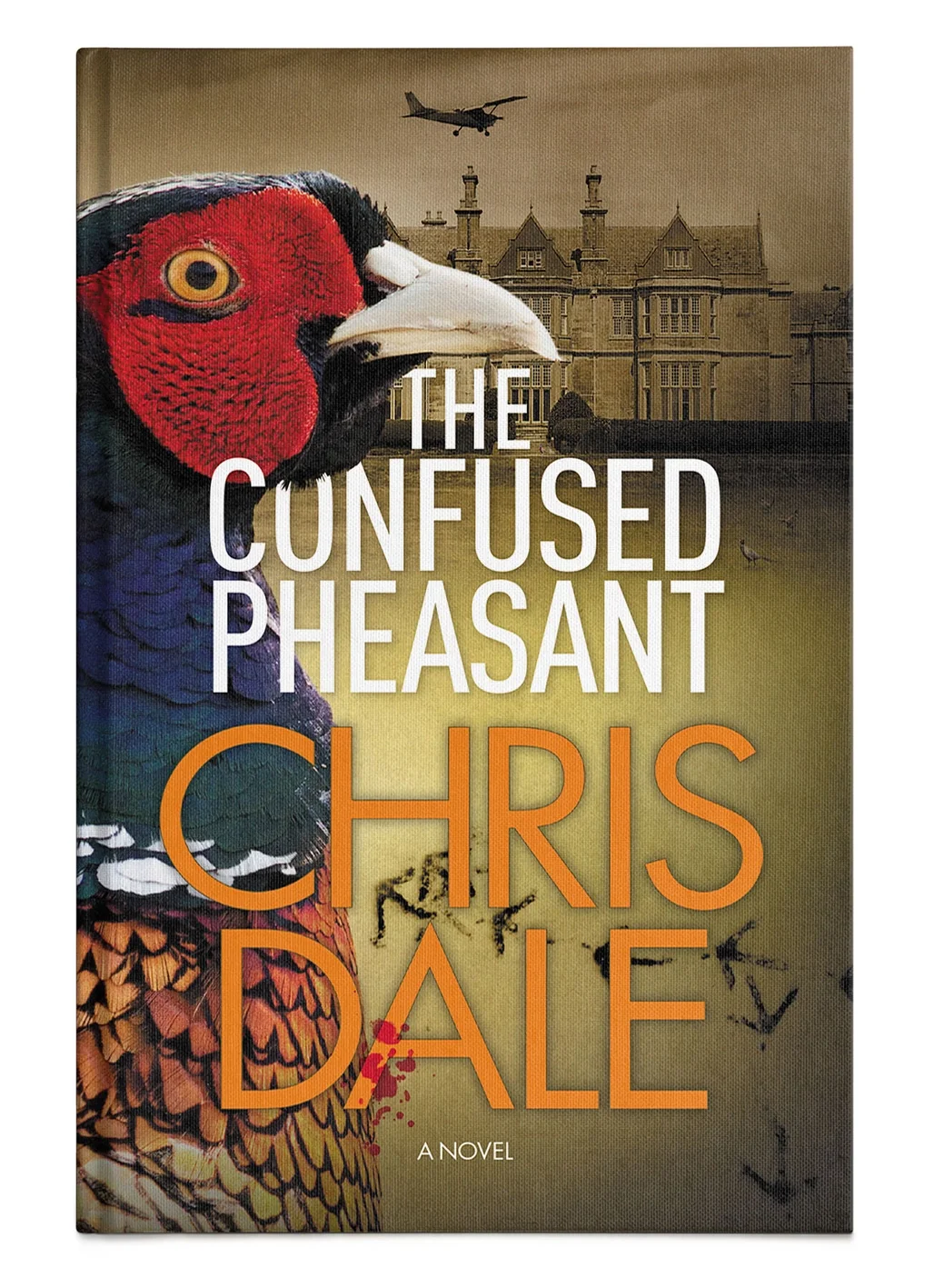 The_Confused_Pheasant.webp