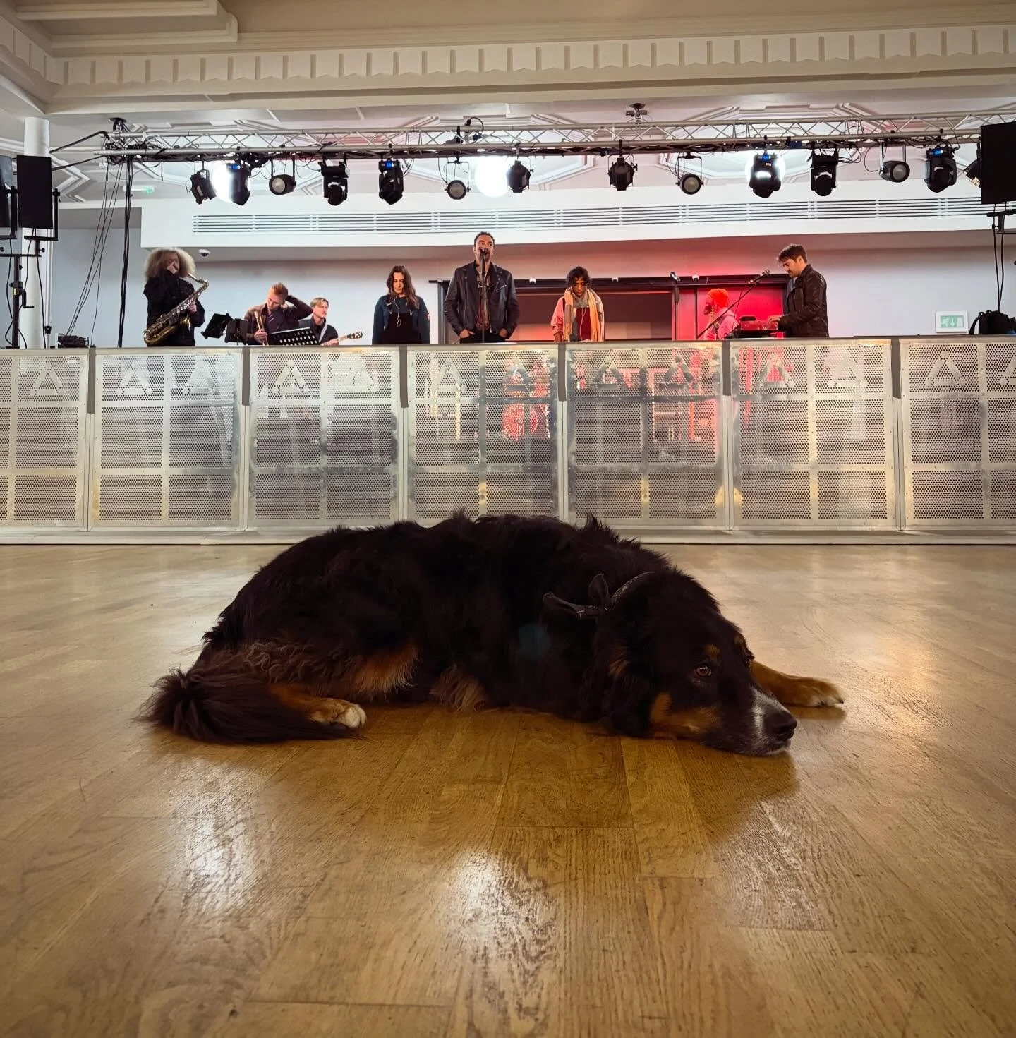 Throwback to our service at @dreamlandmargate in Dec 2025 where we had a very special guest during sound check 🐶