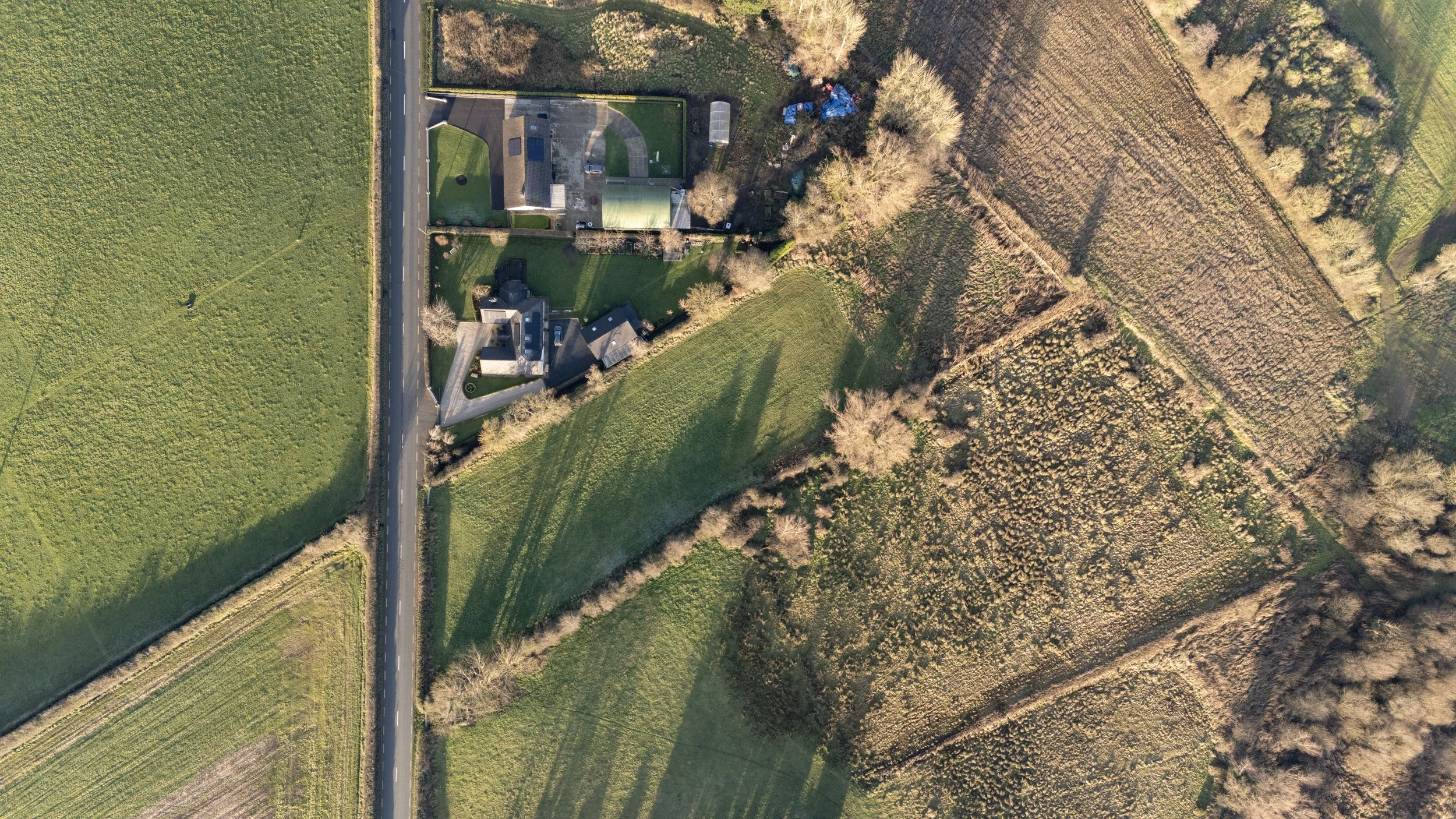 Darver Land - Edited_14.jpg