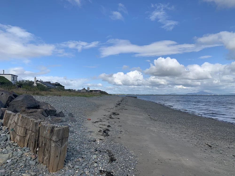 Strand Road , Annagassan , Co. Louth A92 WY84 — McArdle Auctioneers