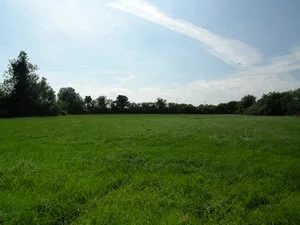 Green Road , Dunmahon , Co.Louth.