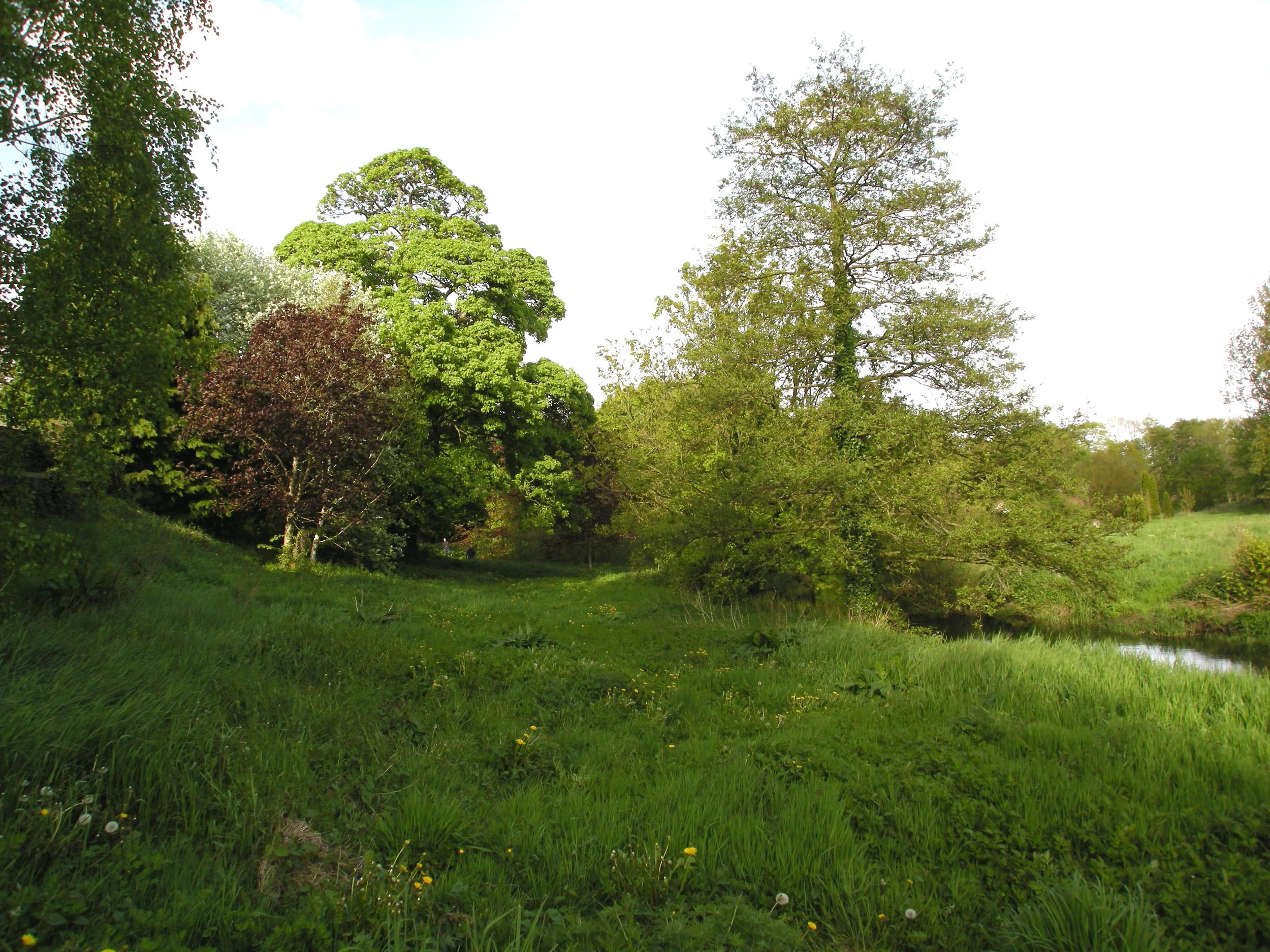 Castle Cosey 2.jpg