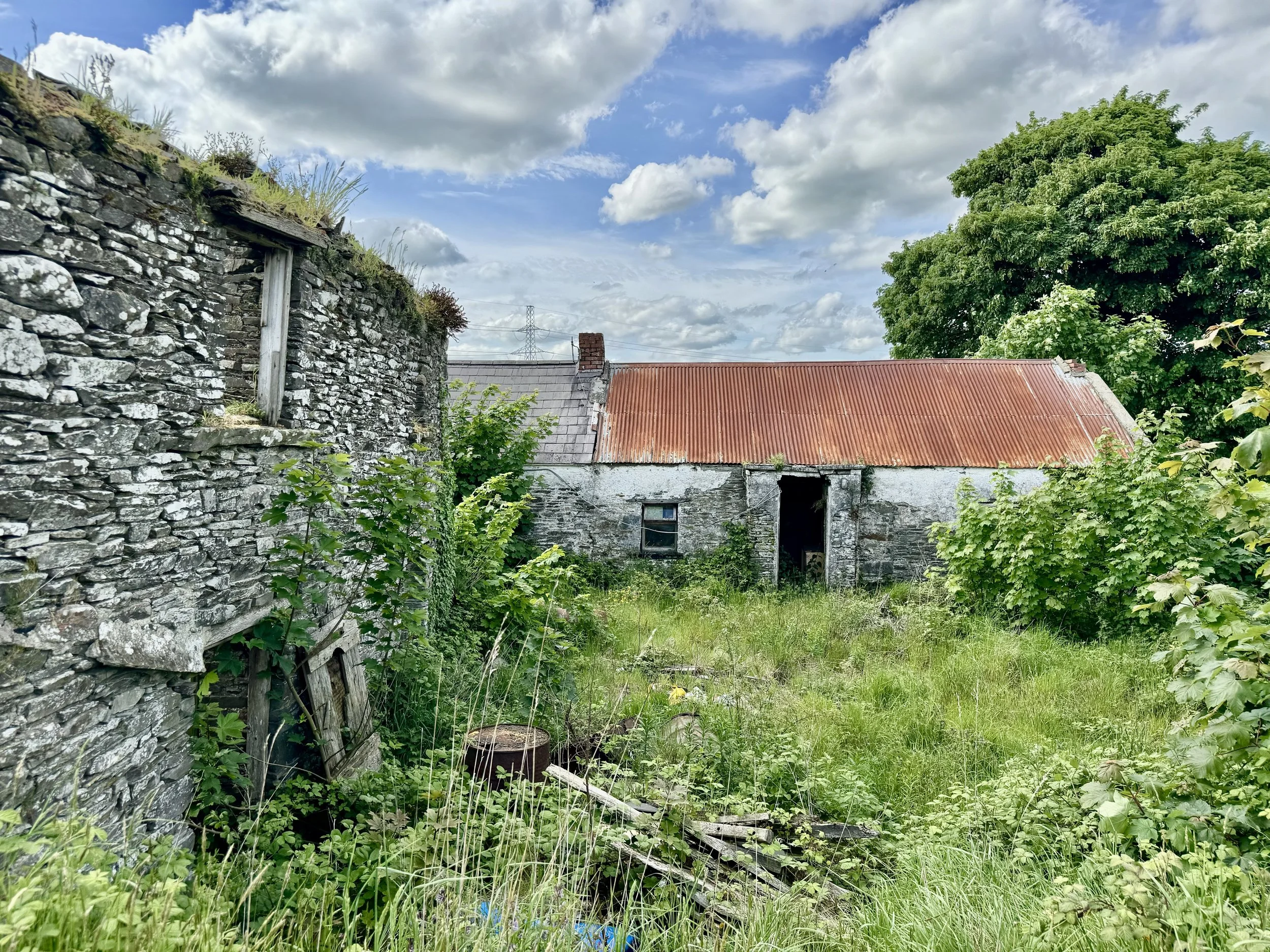 M. Hoey-15.jpg