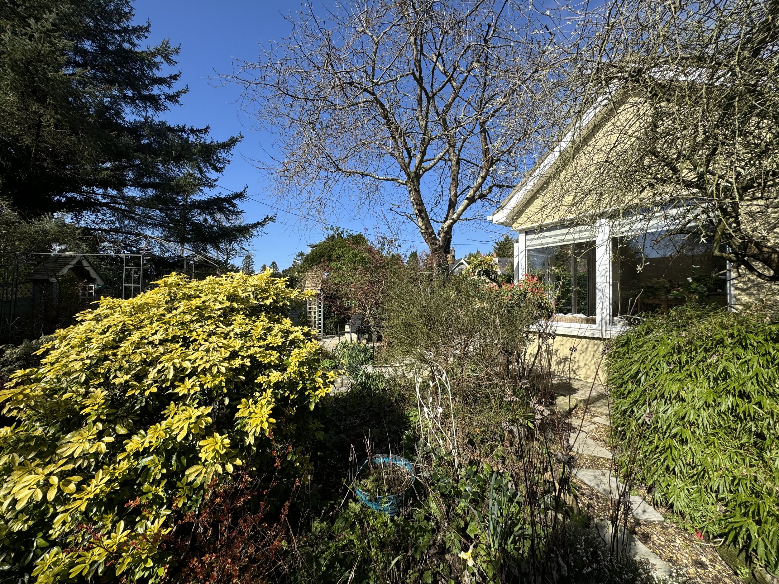 Ravensdale , I. Prior-d.jpg