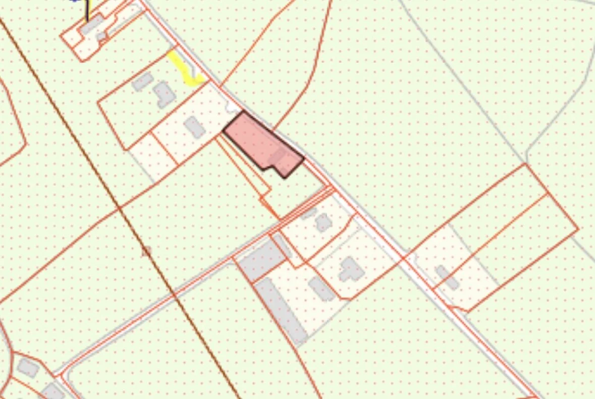 M. Hoey-23.jpg