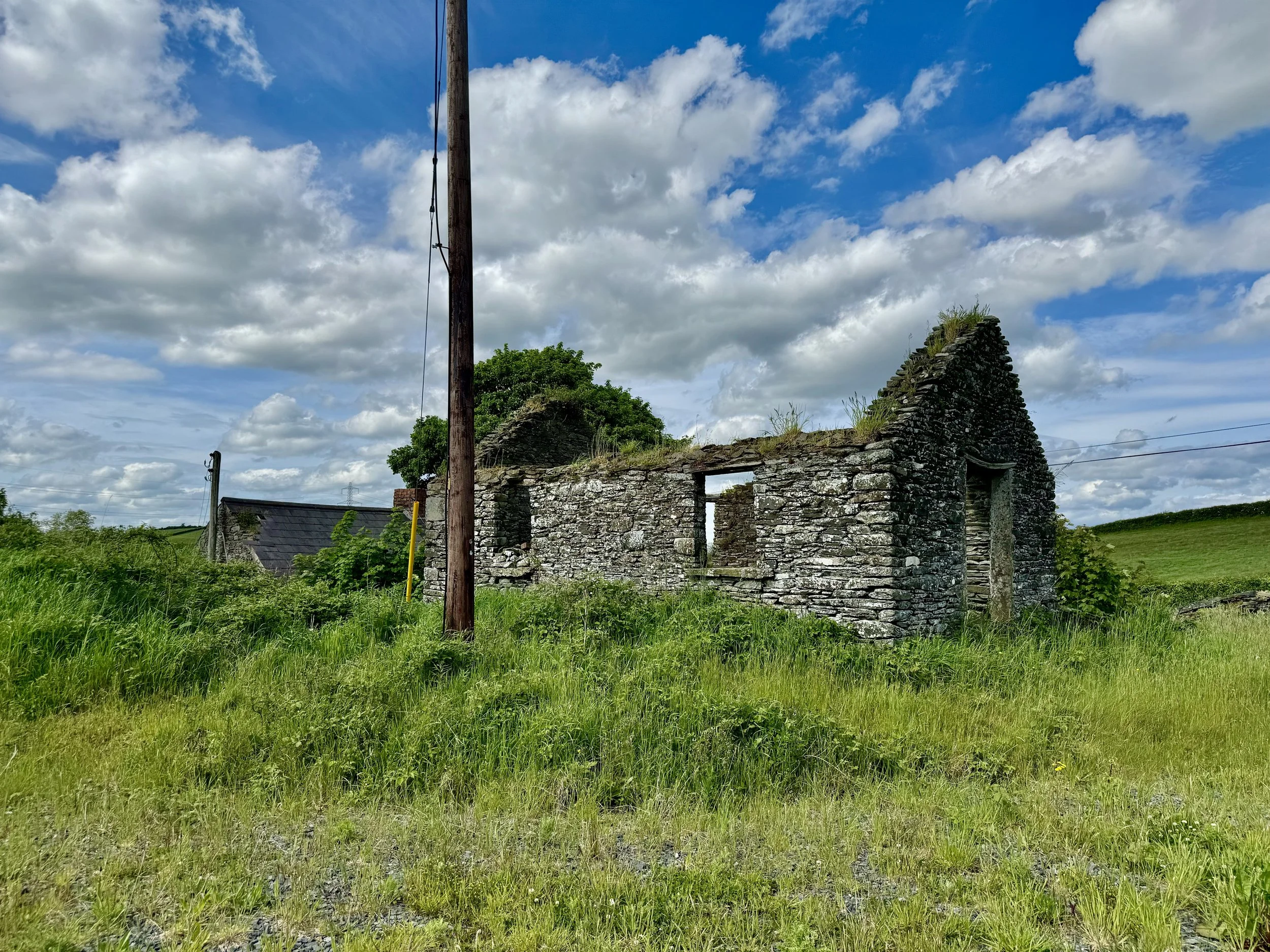 M. Hoey-16.jpg