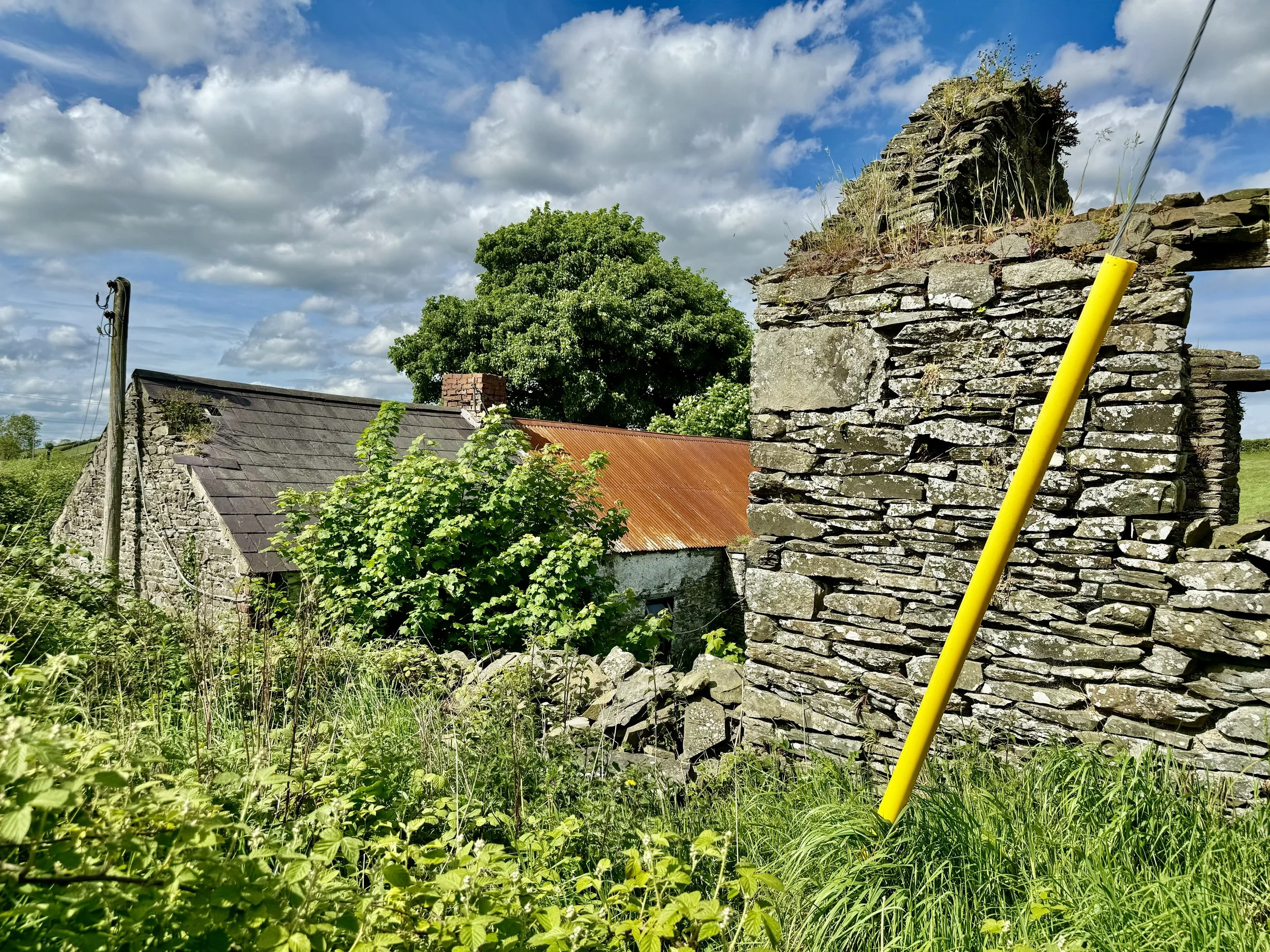 M. Hoey-7.jpg