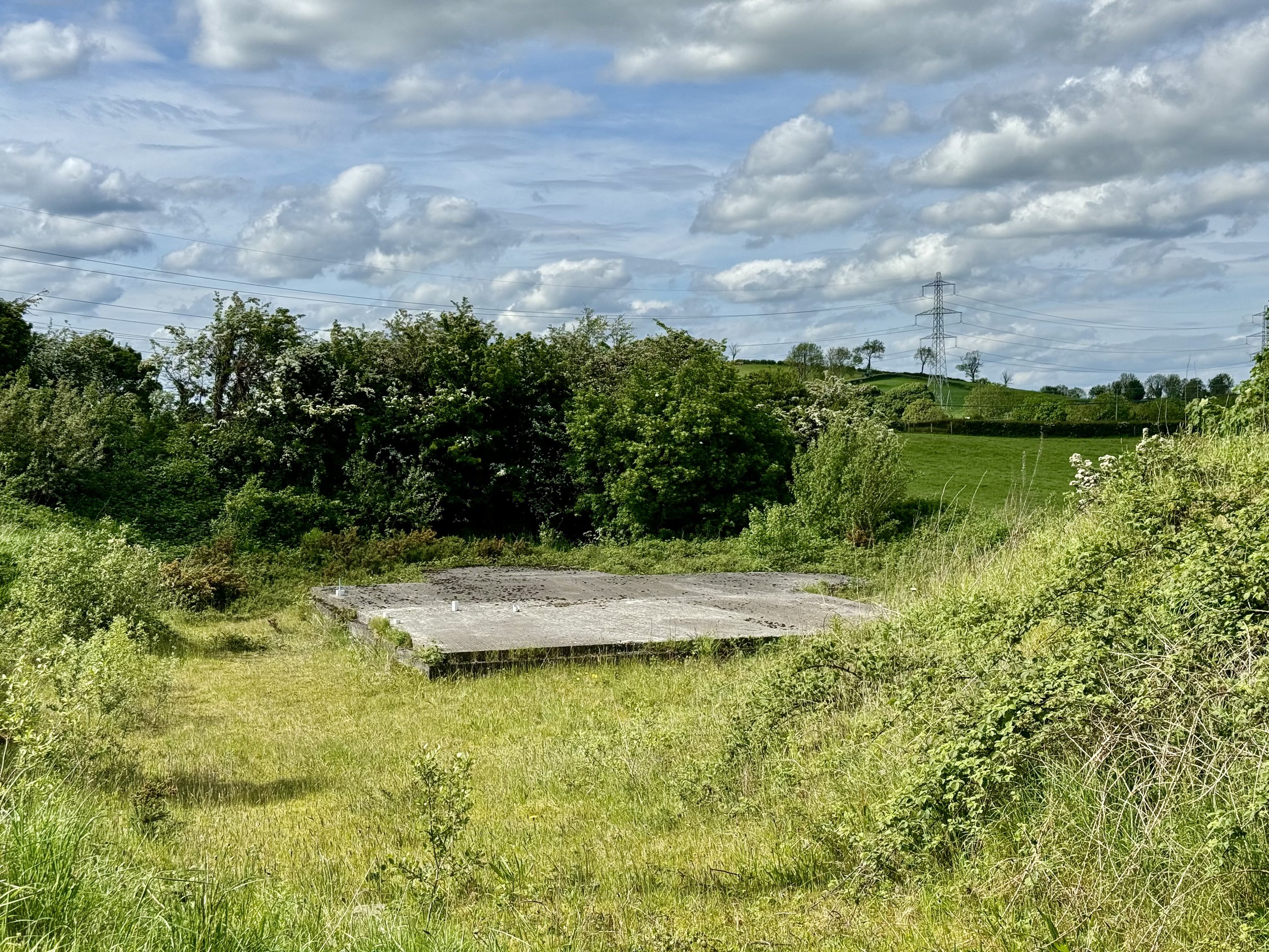 M. Hoey-6.jpg