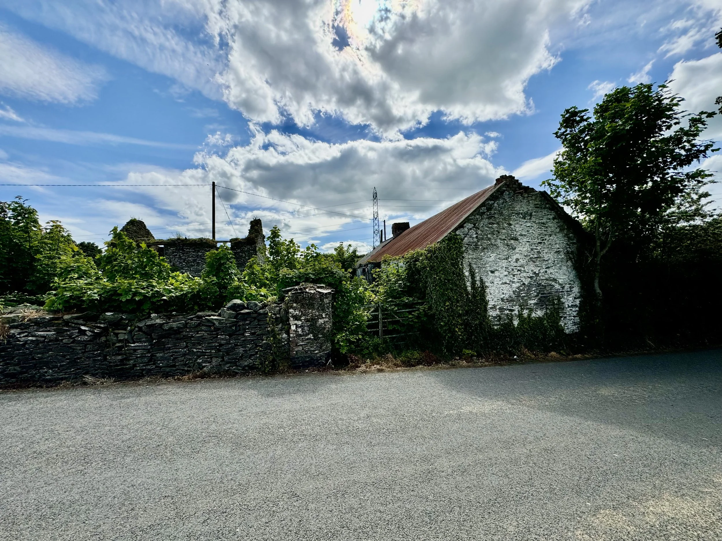 M. Hoey-12.jpg