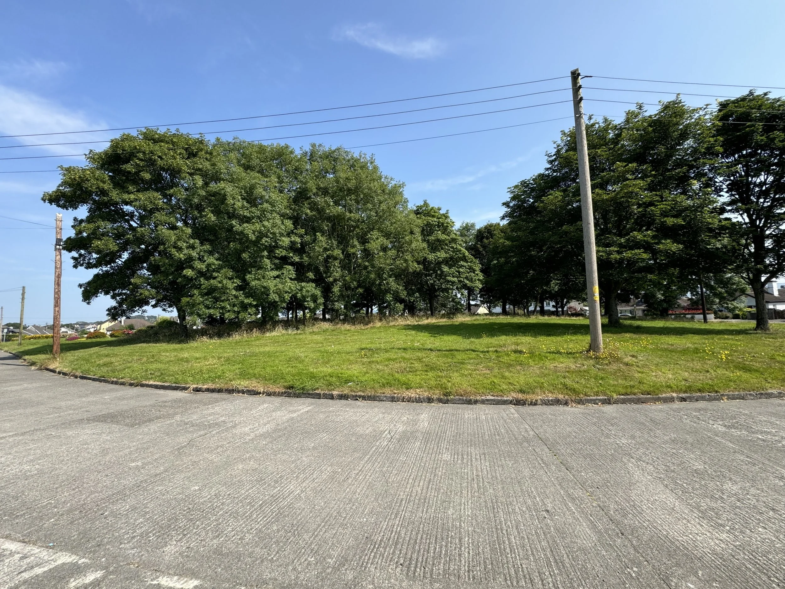 50 Woodland-9.jpg