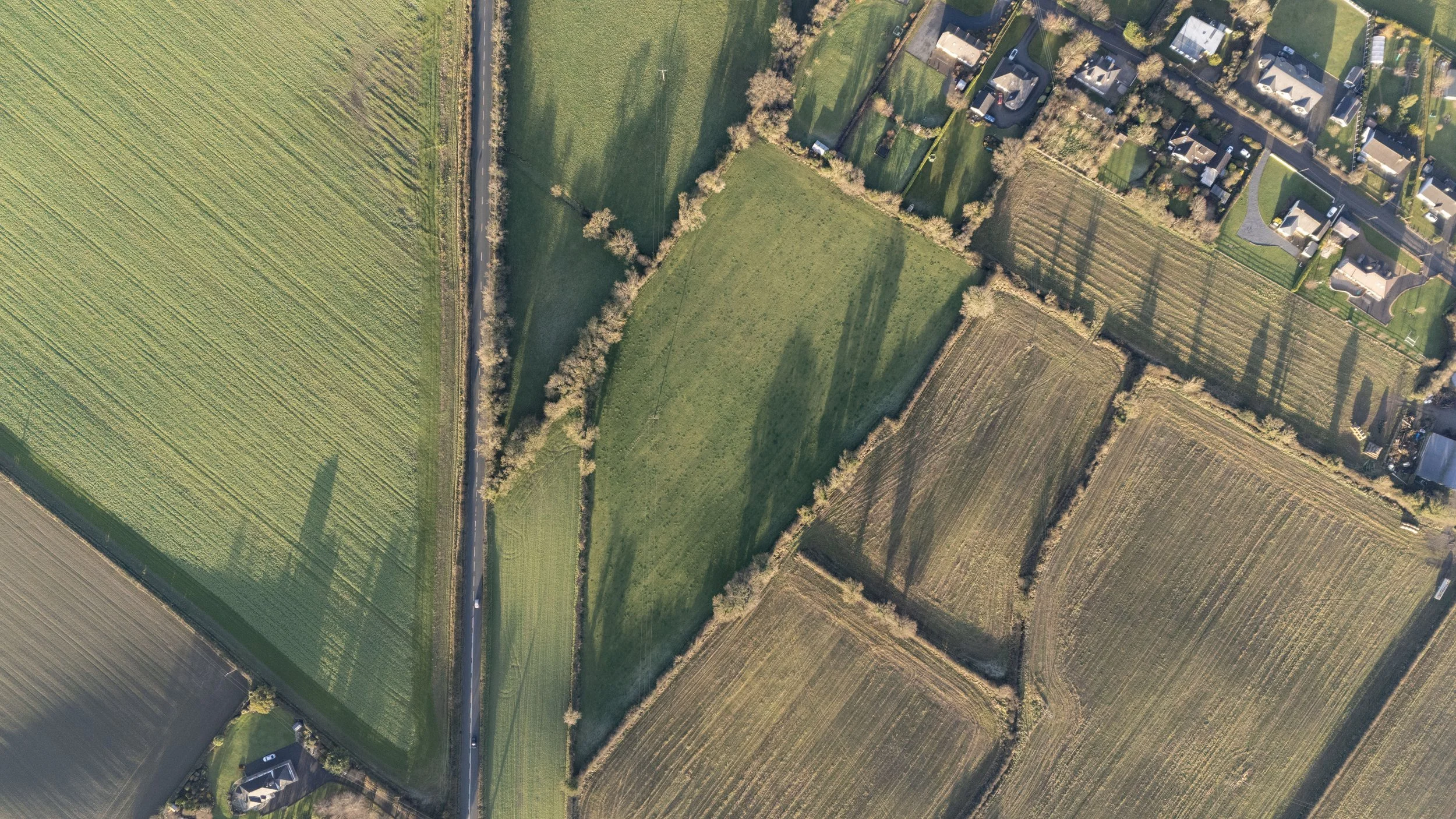 Darver Land - Edited_16.jpg