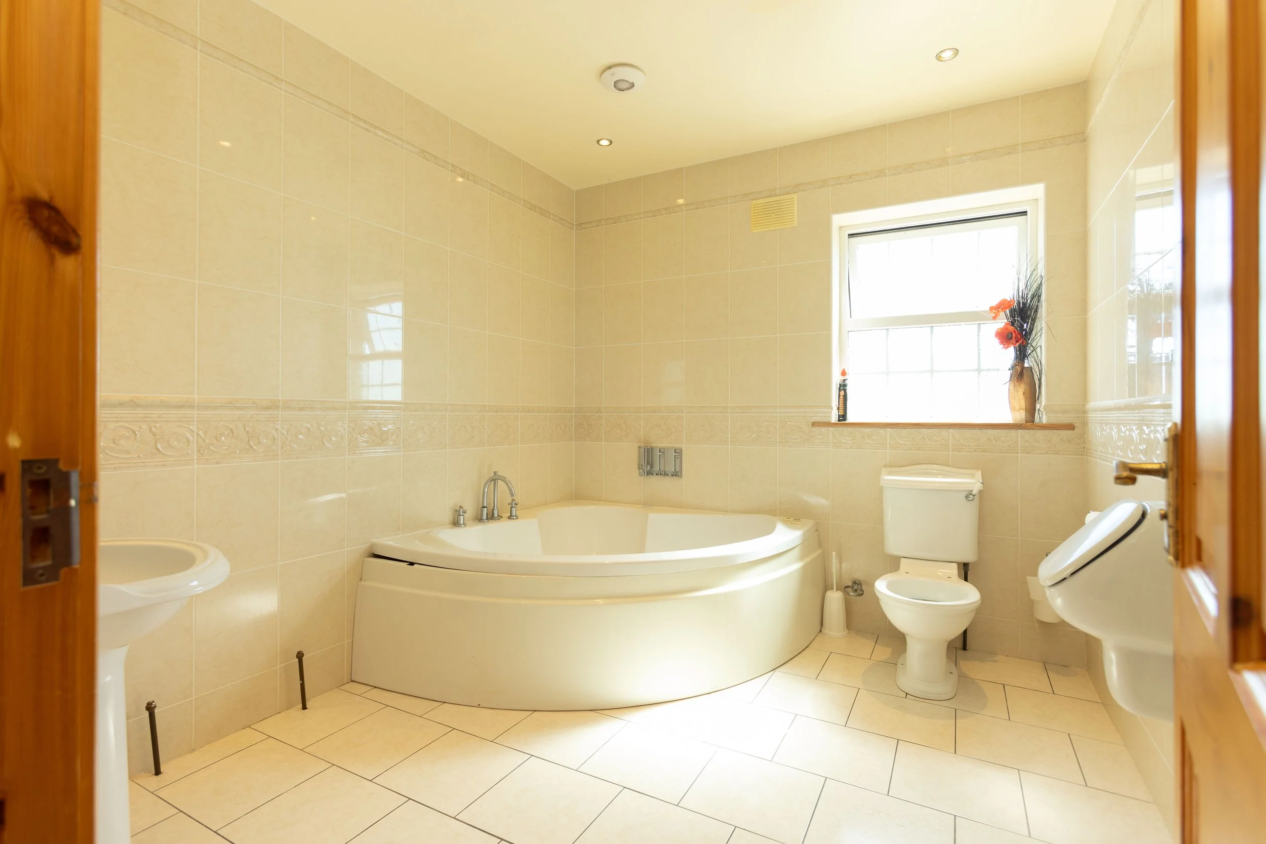 Lordship Property_81.jpg