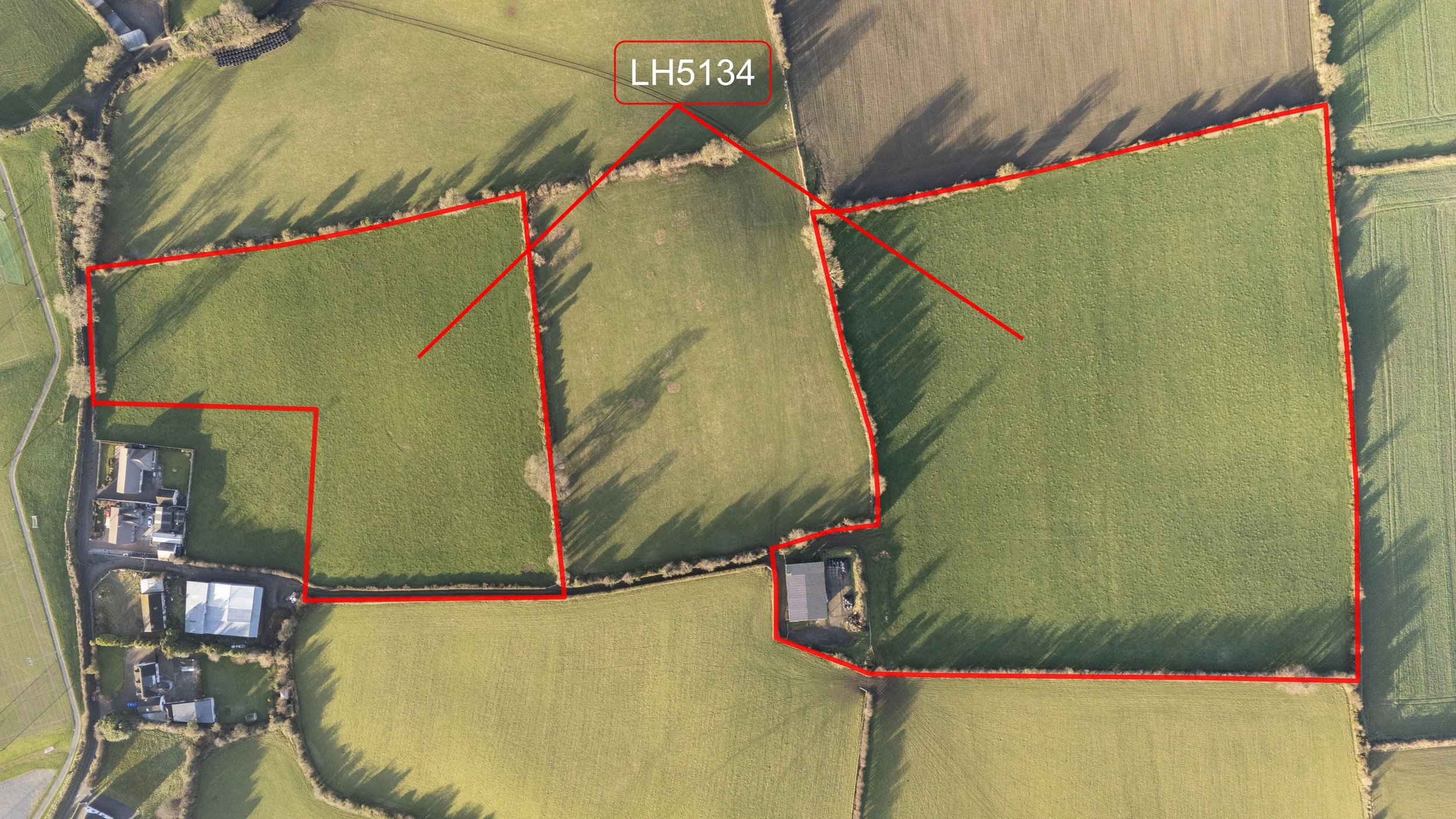 Darver Land - Edited_7.jpg