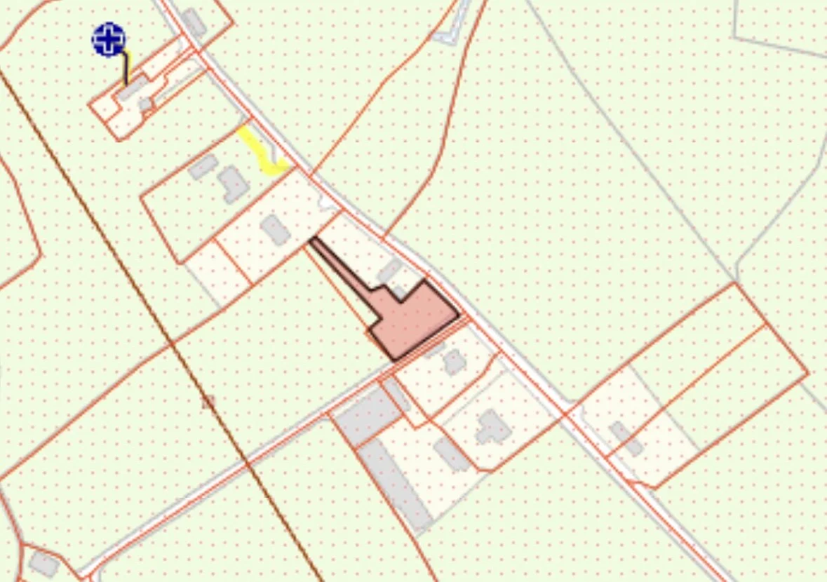 M. Hoey-22.jpg