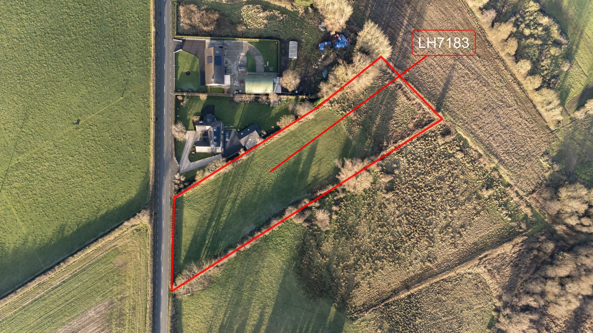 Darver Land - Edited_13.jpg