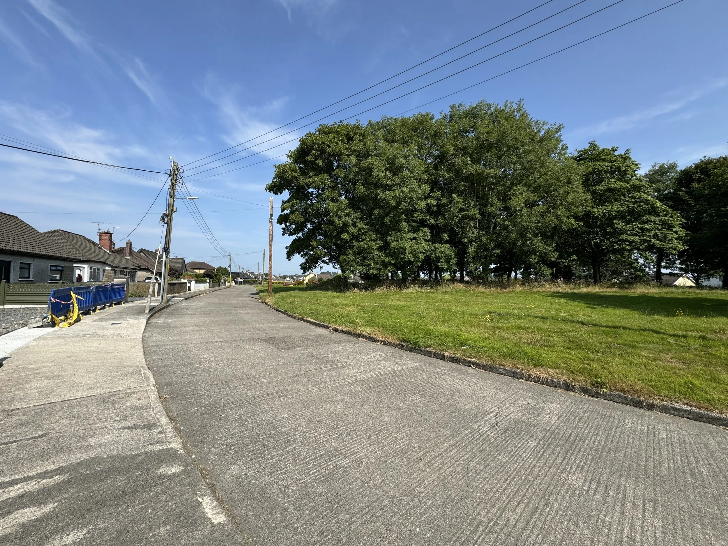 50 Woodland-10.jpg