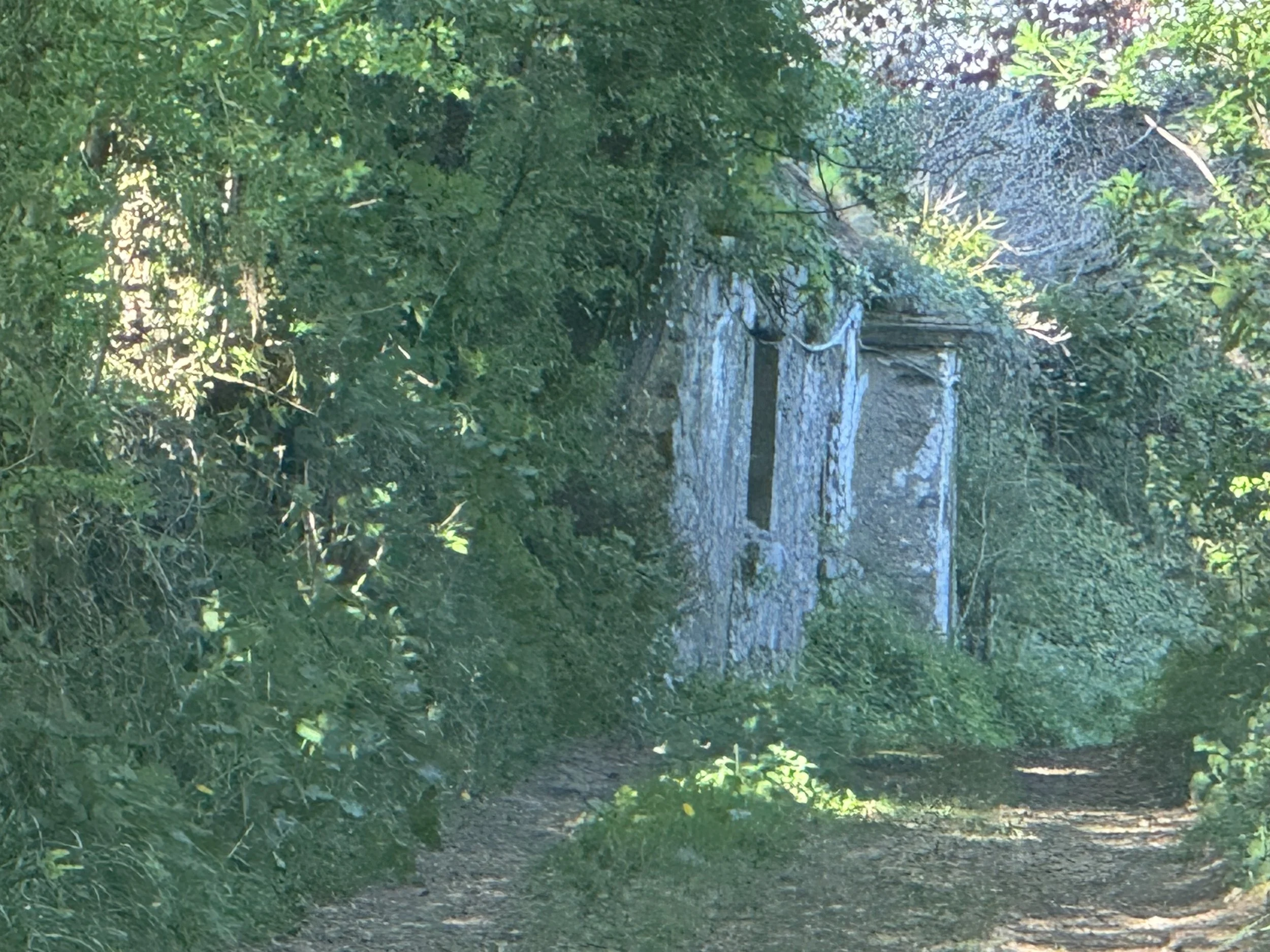 Hachballscross , Stumpa.jpg