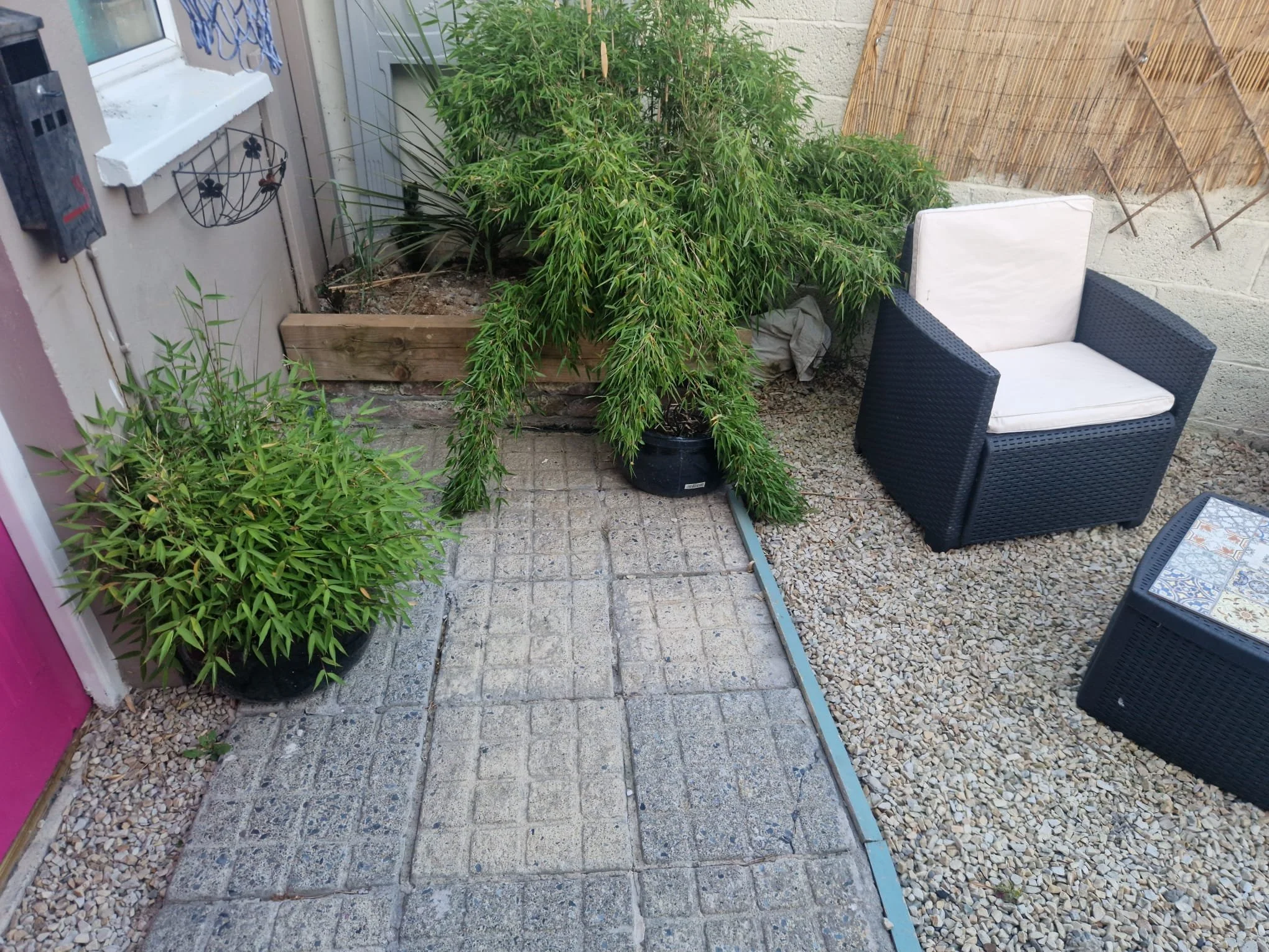 Seafield Lawns 16-30.JPG