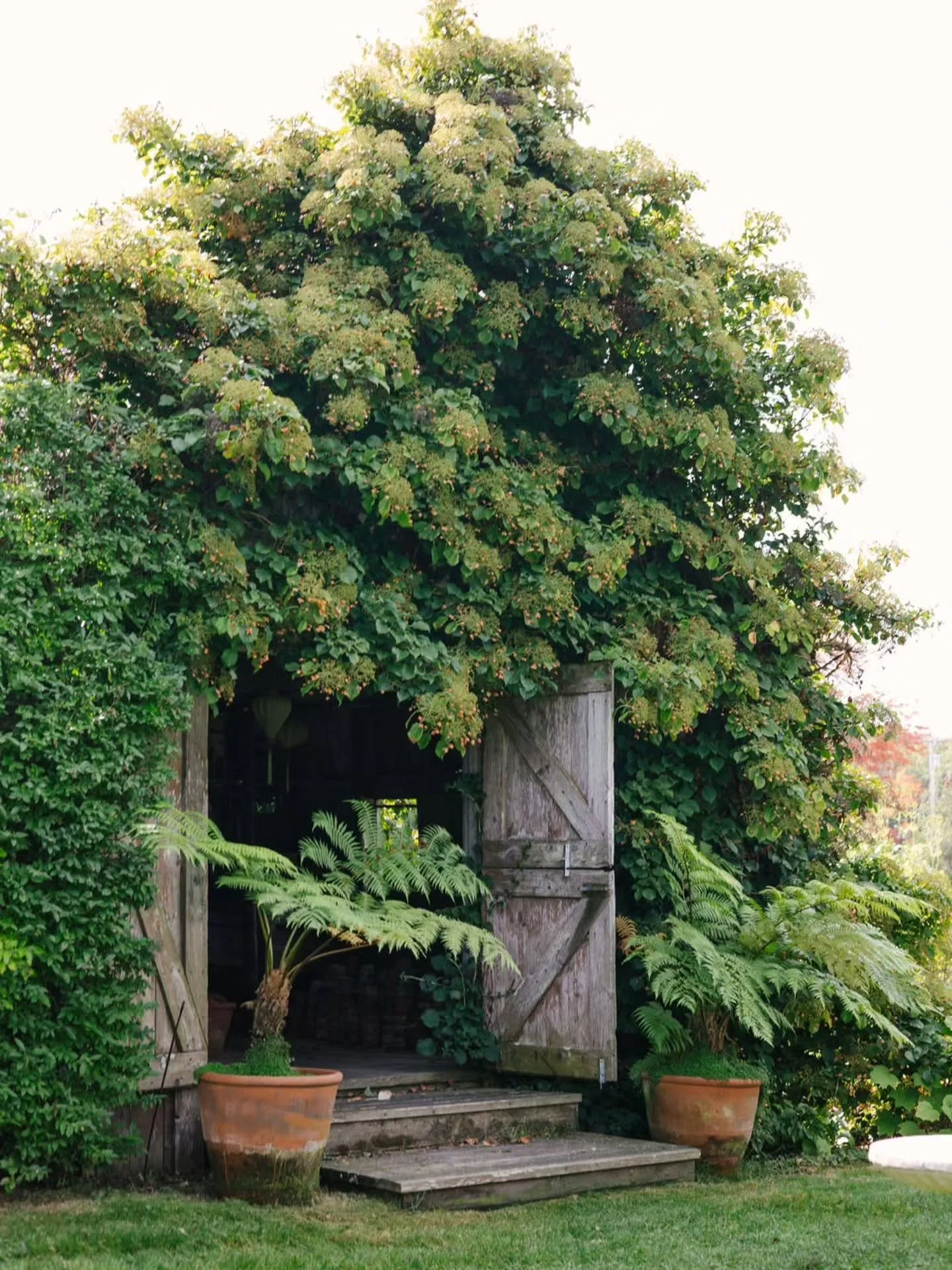 It officially feels like fall outside!

@snugharborfarm
.
.
.
.
#tiffanymizzellphotography #snugharbor #Kennebunk #kennebunkmaine #maine