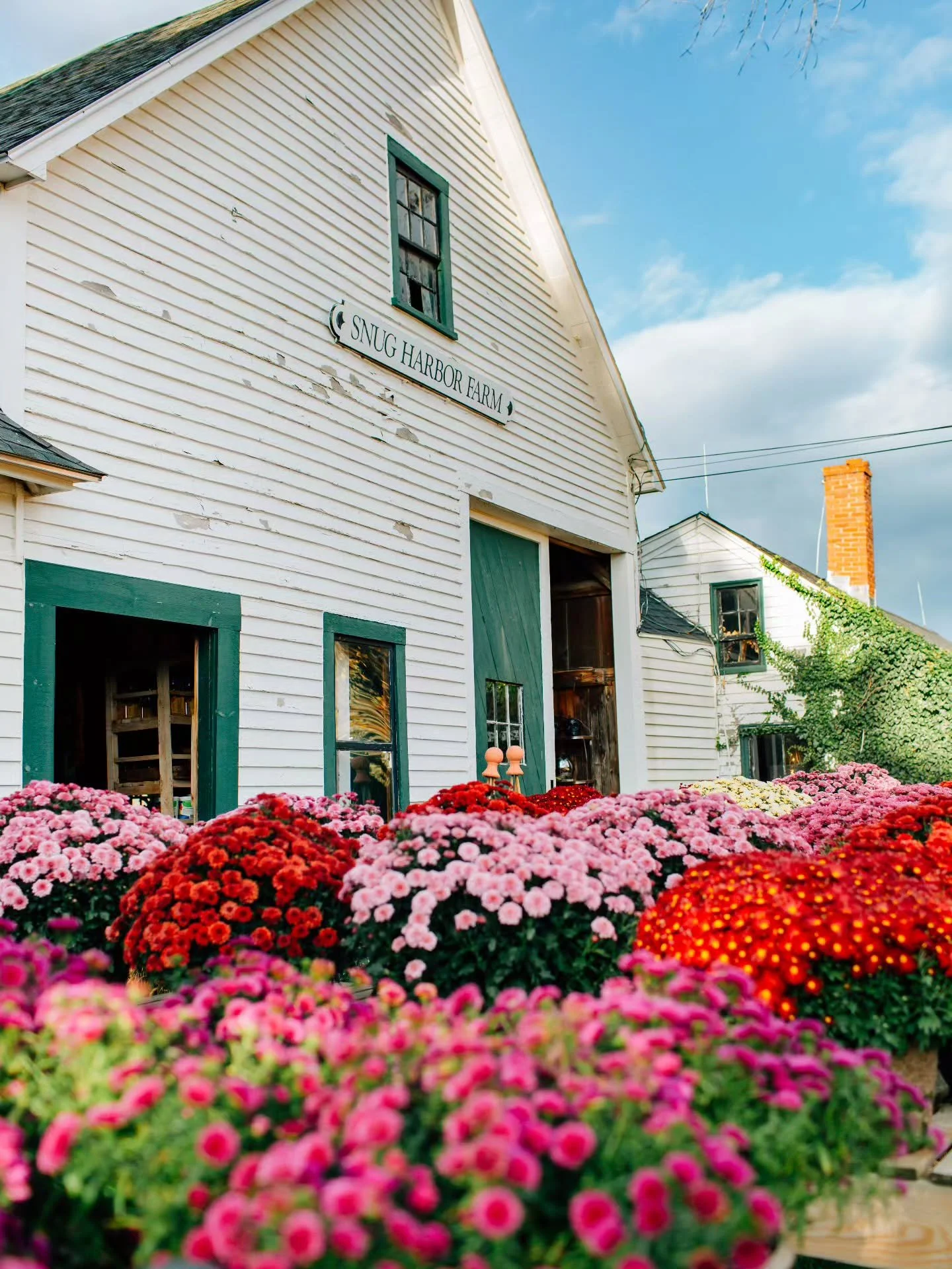 I'm not sure how we got here already, but it's the last day of September. 
.
.
.
.
#tiffanymizzellphotography #Kennebunkmaine #snugharbor #fallinthekennebunks #autumn2025 #countrylivingmagazine
