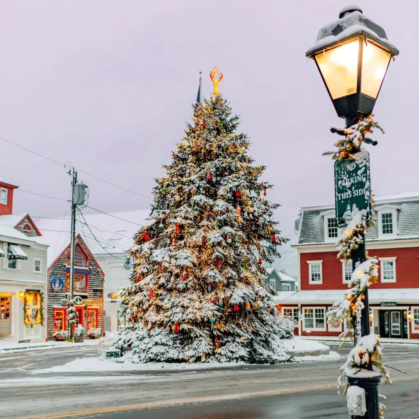 Happy Prelude, everypne!! The week long festivities kick off tonight with the Christmas tree lighting in Dock Square followed by the lobster trap tree lighting in Cape Porpoise. With fresh snow on the ground and a nip in the air,  it should be a magi
