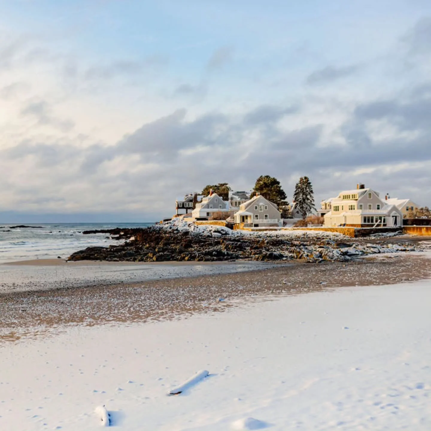 We woke up to more snow!!