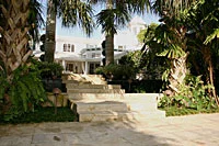 white-garden-web.jpg