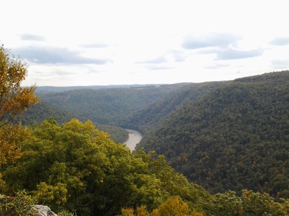 WV.jpg