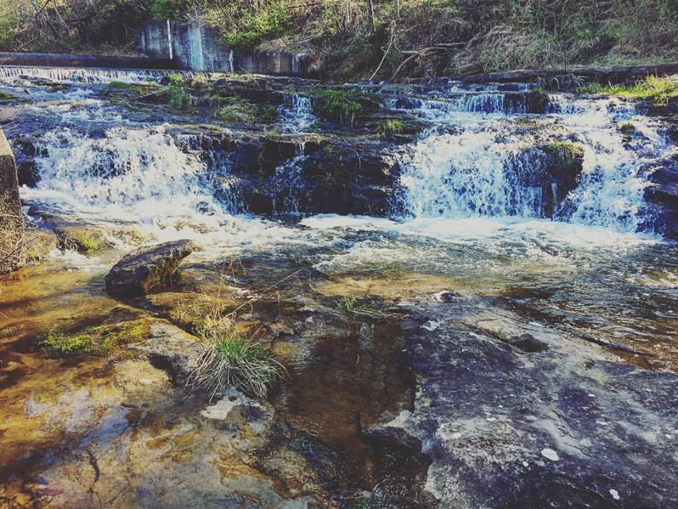 sago buckhannon wv.jpg
