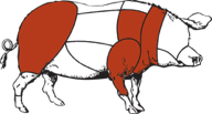 Cerdo Salami.png