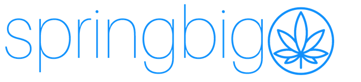 springbig logo.png