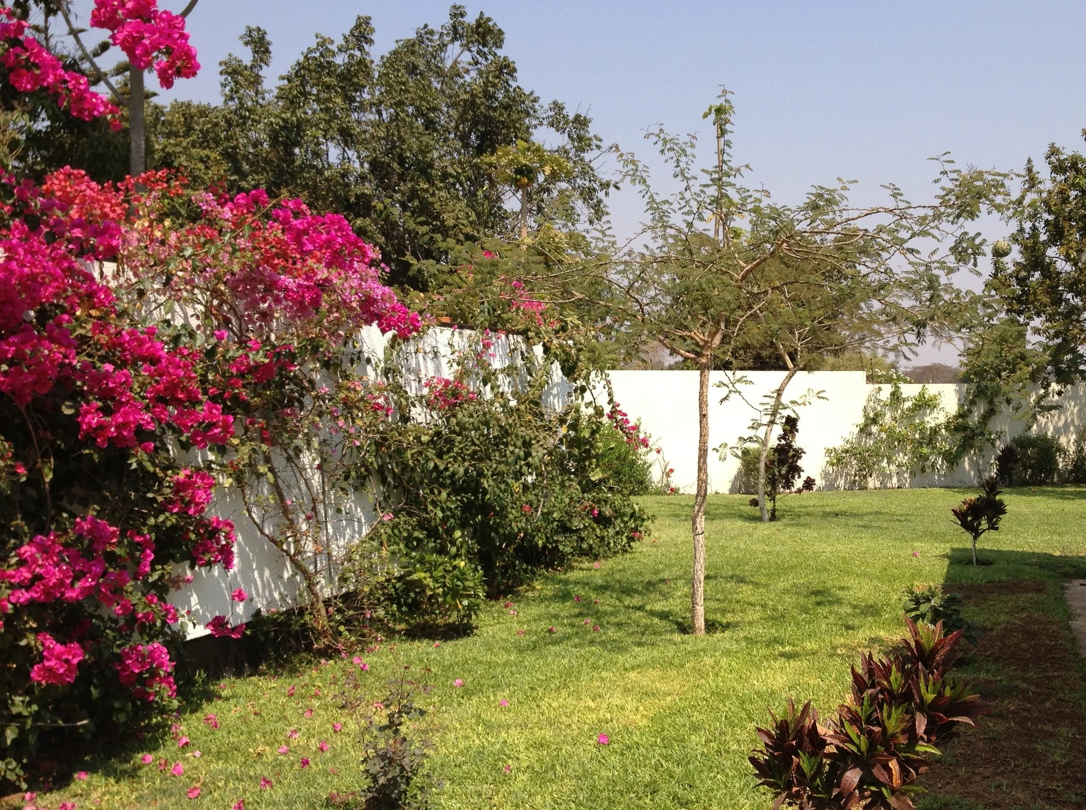 2018: Malawi Musings #3