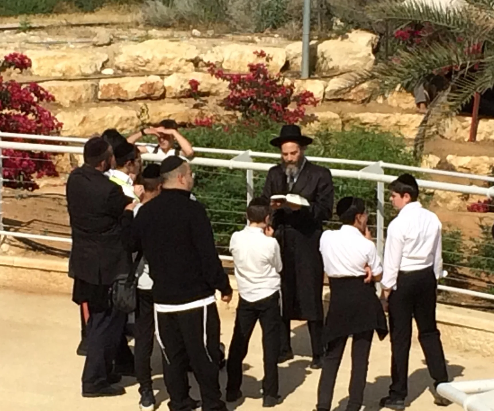 2019: Romania Ramblings: #6