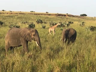 2019: Uganda Days #8