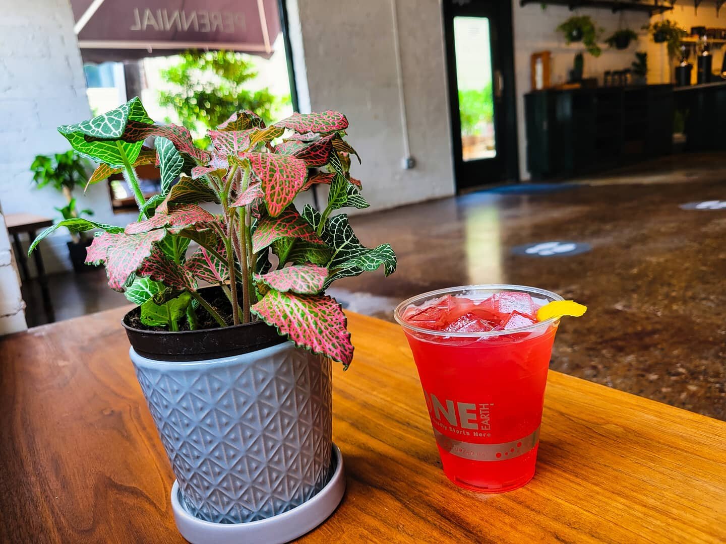 Let's cheers to the weekend with a hibiscus fizz! Made with lemonade, hibiscus zest tea and topped with soda 🍋🌸

We're here until 3pm today!
