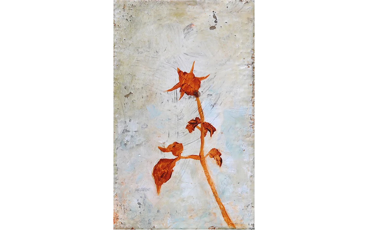 Rose Star Shadow