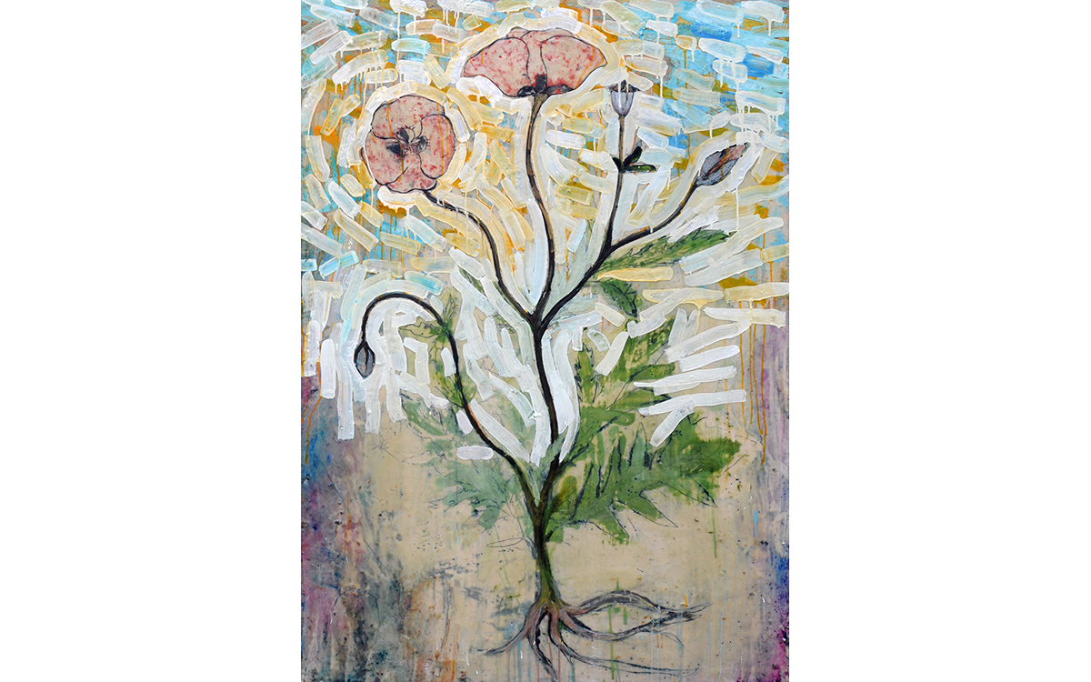 Botanical Study - Papaver Rhoeas