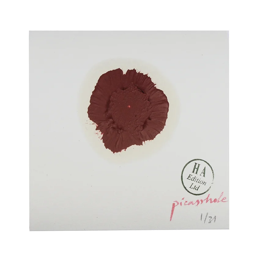 FOG Pablo Picasshole Macho Maroon for web.jpg