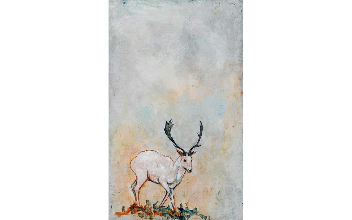White Stag