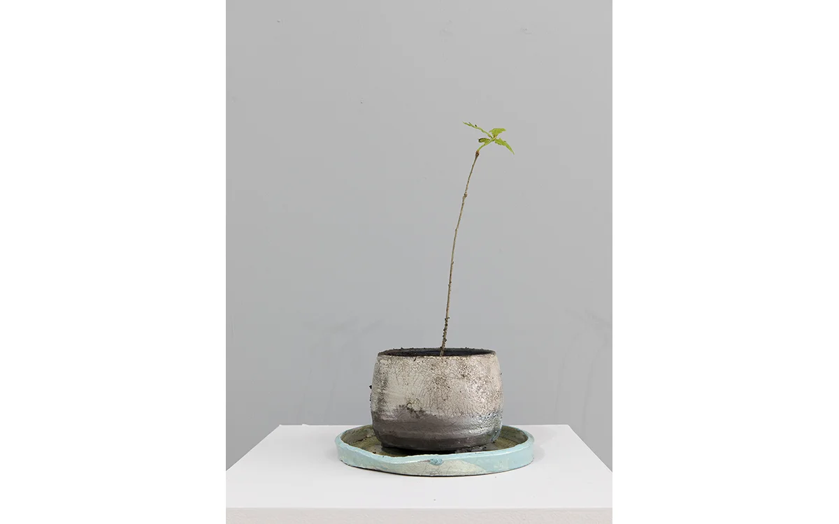 Pot 1