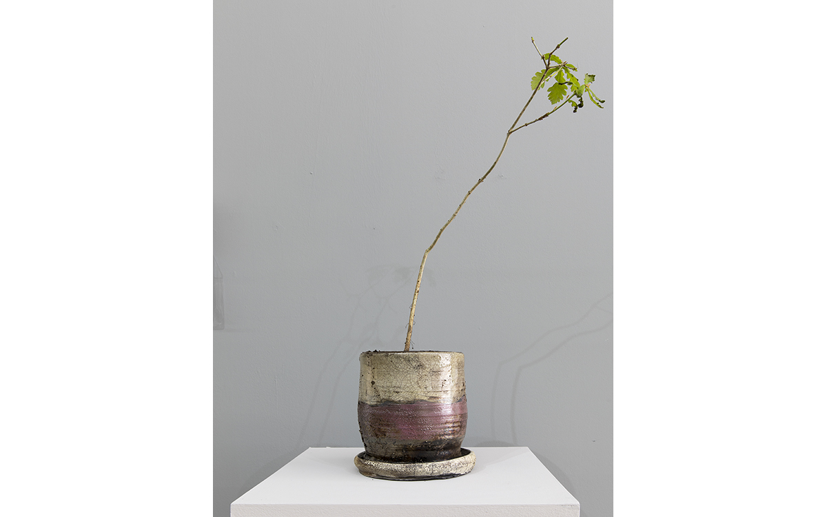 Pot 2