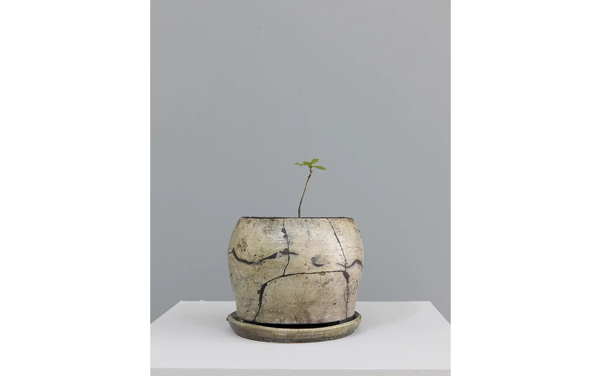 Pot 3