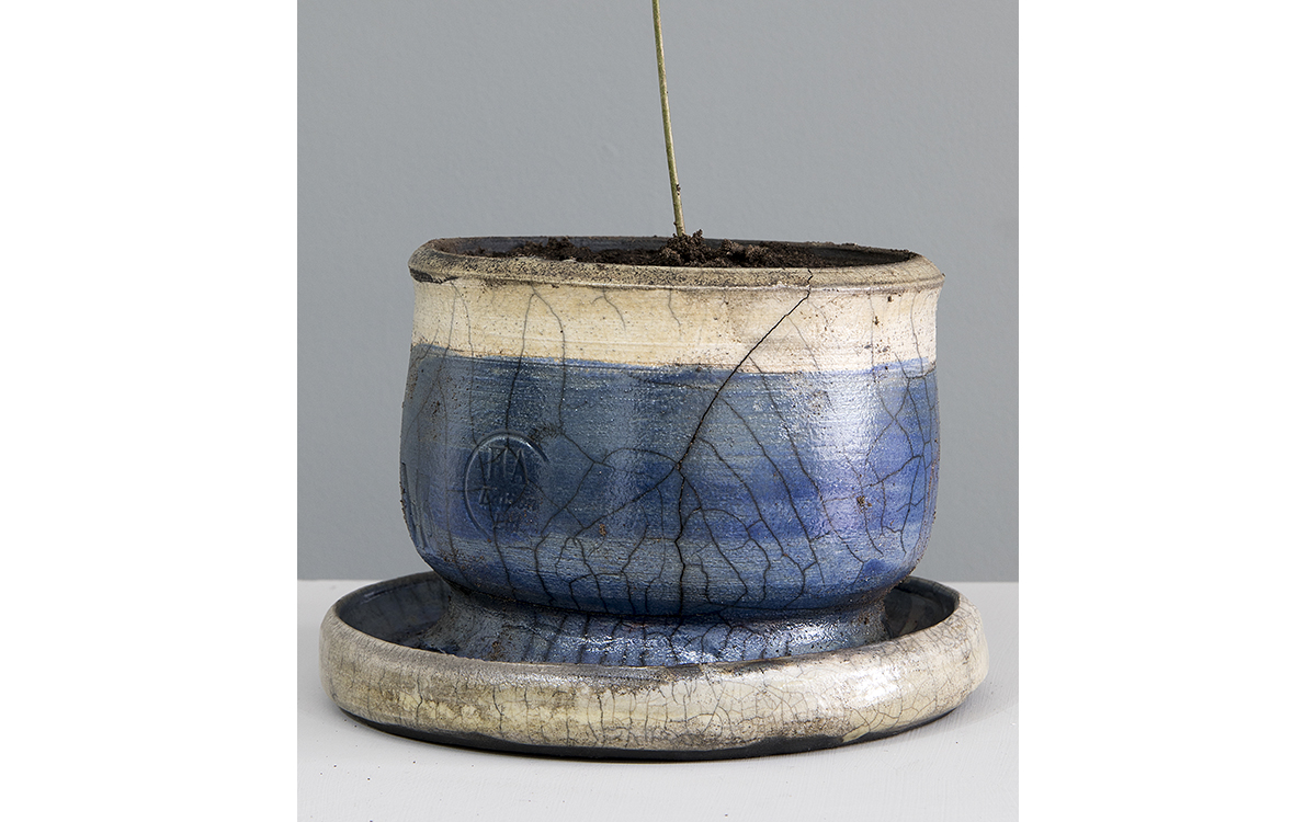 Pot 8