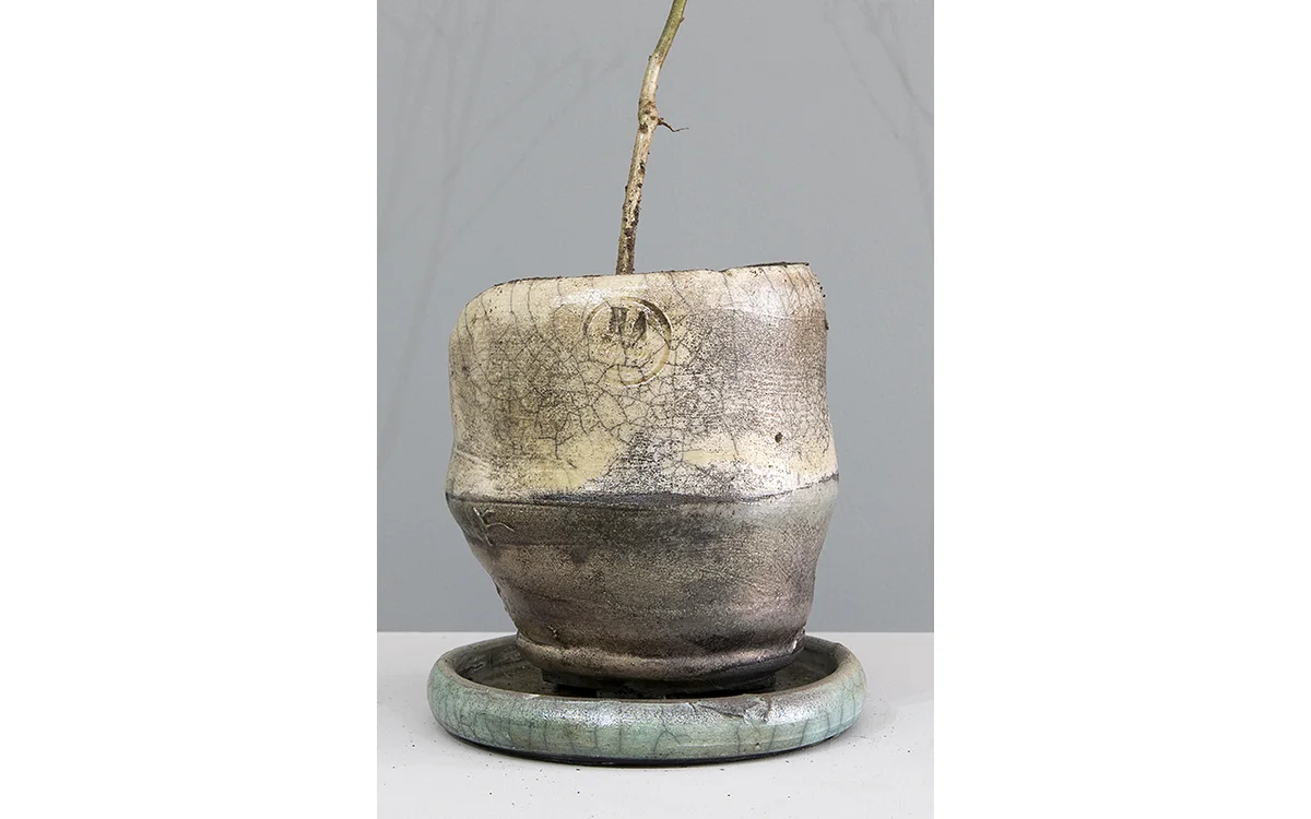 Pot 20