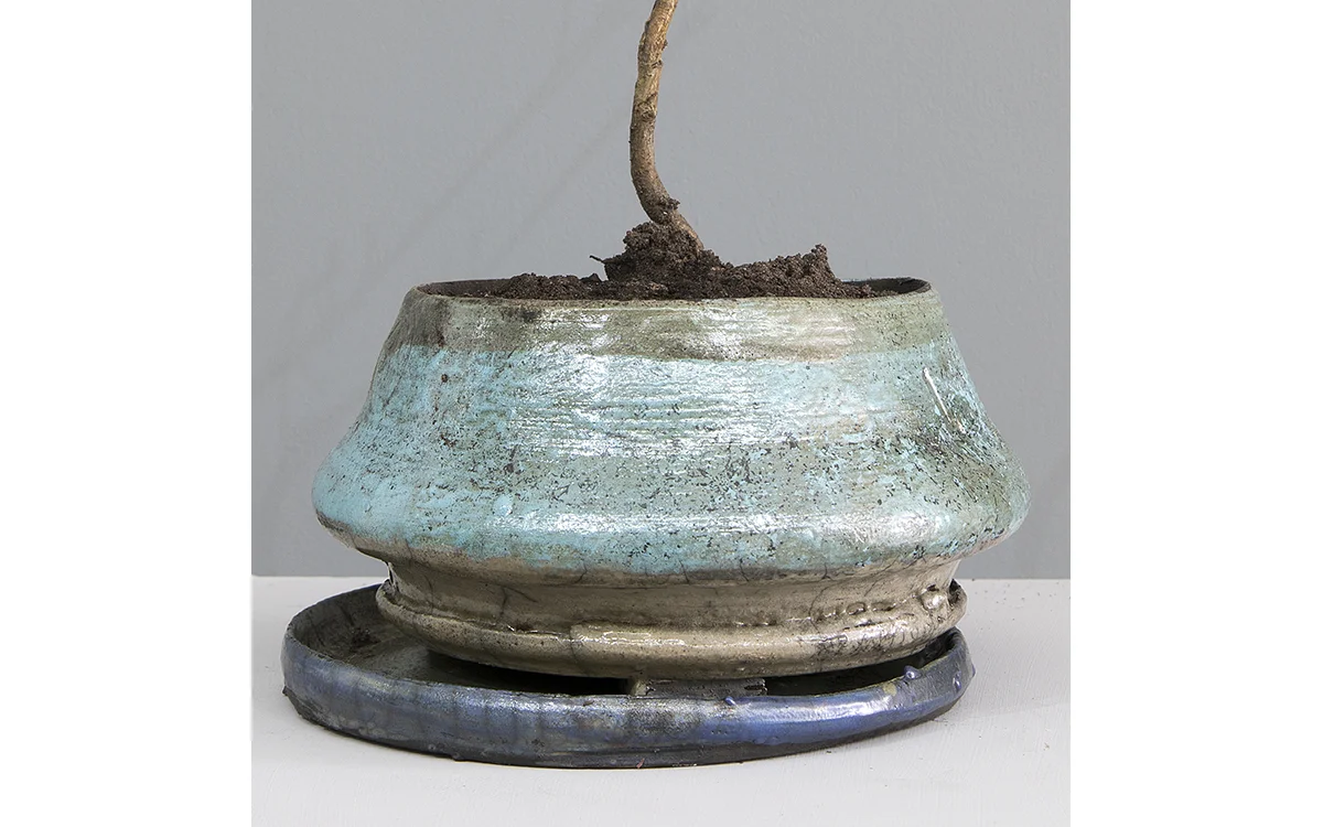 Pot 22