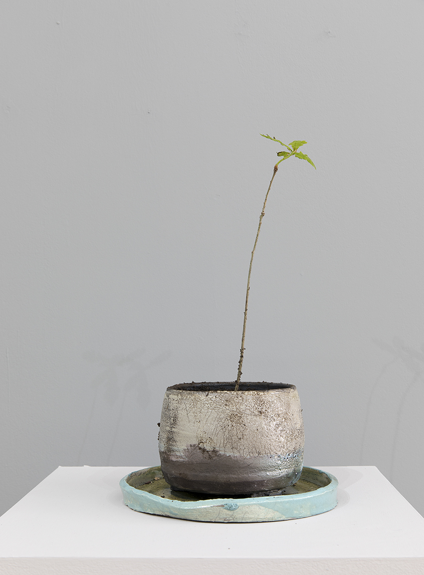 pot01.jpg